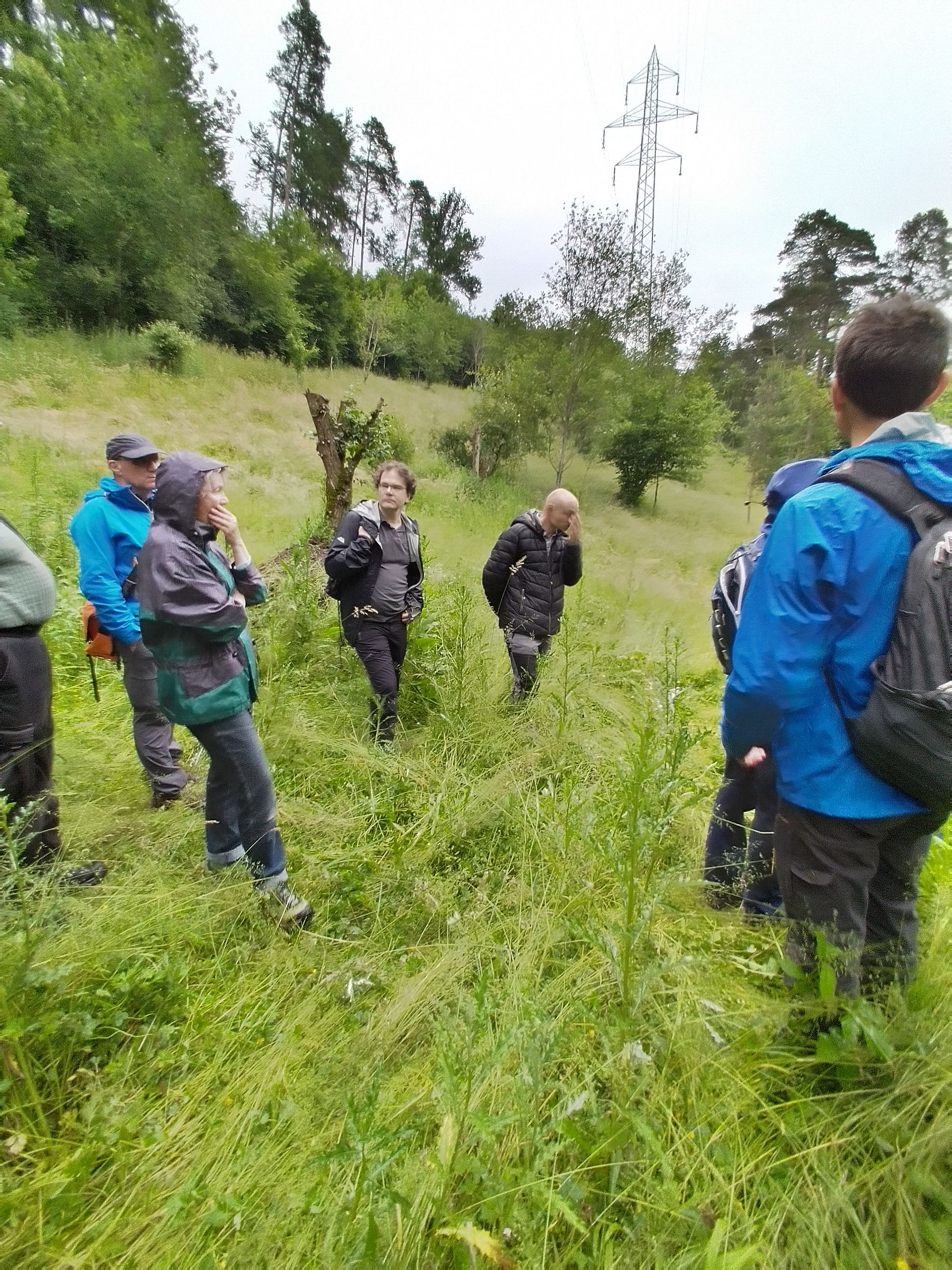 Oberer Brandel Röschenz